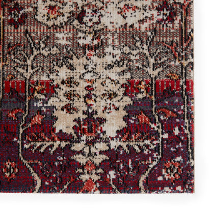 Artful Thread Indoor/Outdoor Multicolored/Red Runner Rug